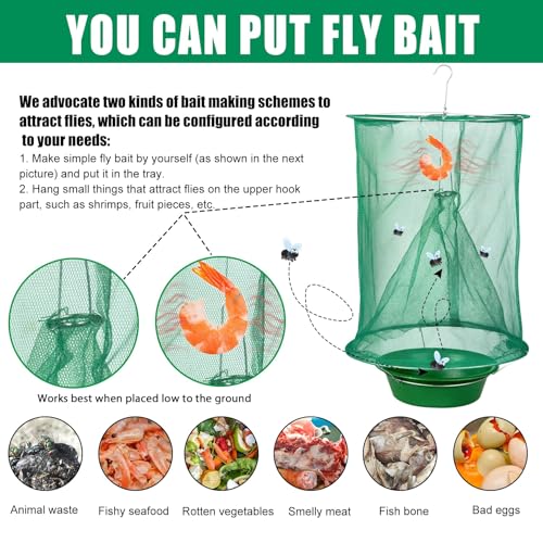 Fly trap Cage and fly Catcher