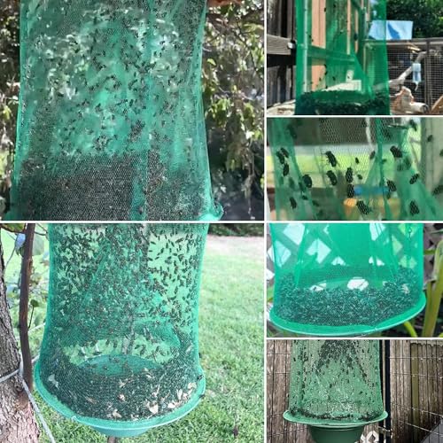 Fly trap Cage and fly Catcher