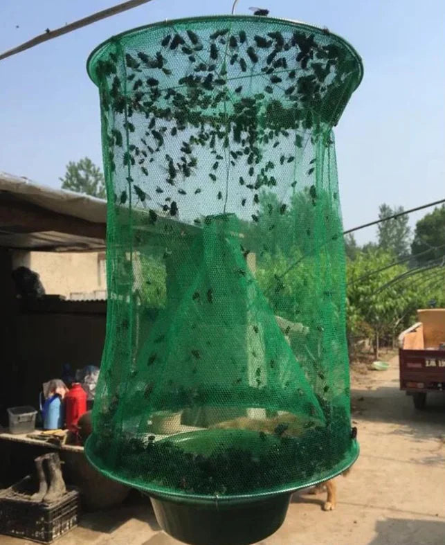 Fly Trap Cage and Fly Catcher Device