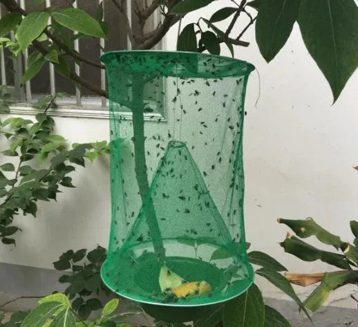 Fly Trap Cage and Fly Catcher Device